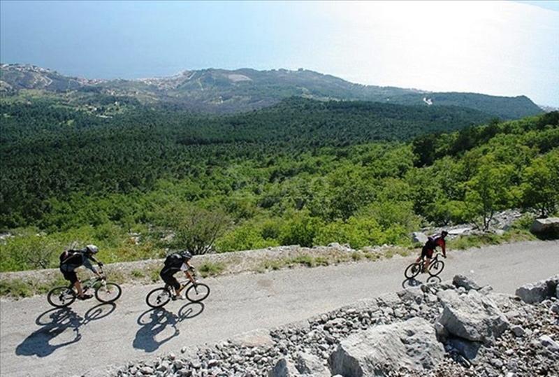 Mountain byke tours